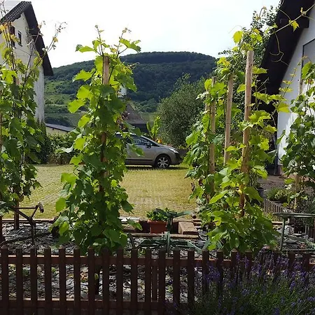 Konukevi - Wendland 2*