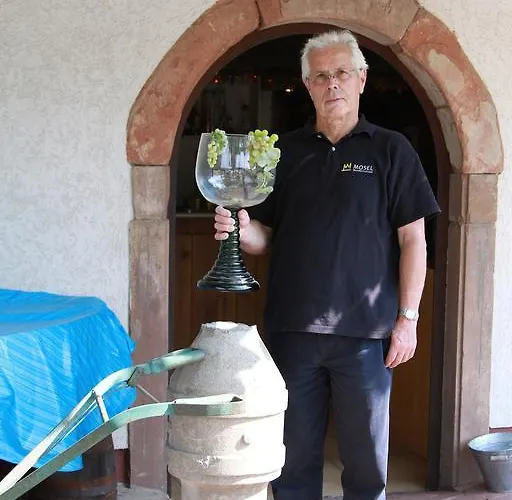 Gasthof - Wendland Wintrich